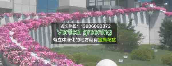  漳浦護欄立體綠化