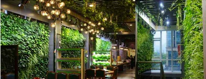 長(zhǎng)沙室內(nèi)墻面垂直立體綠化