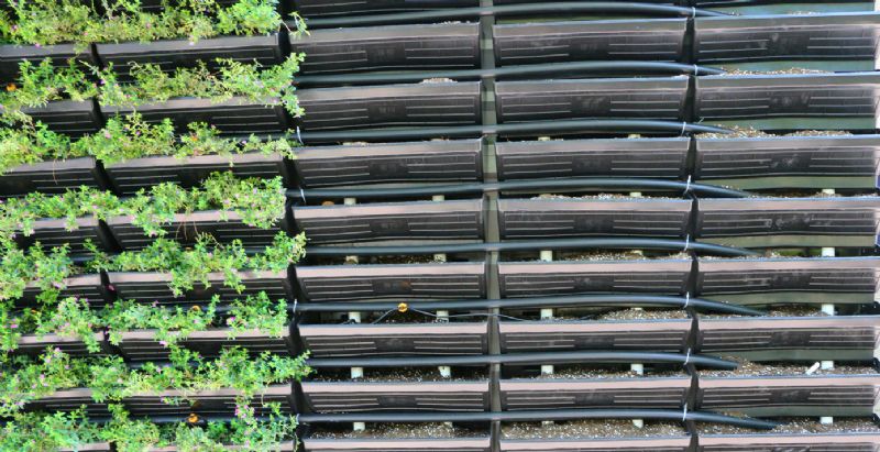 廈門(mén)市第一中學(xué)室內(nèi)垂直墻立體綠化