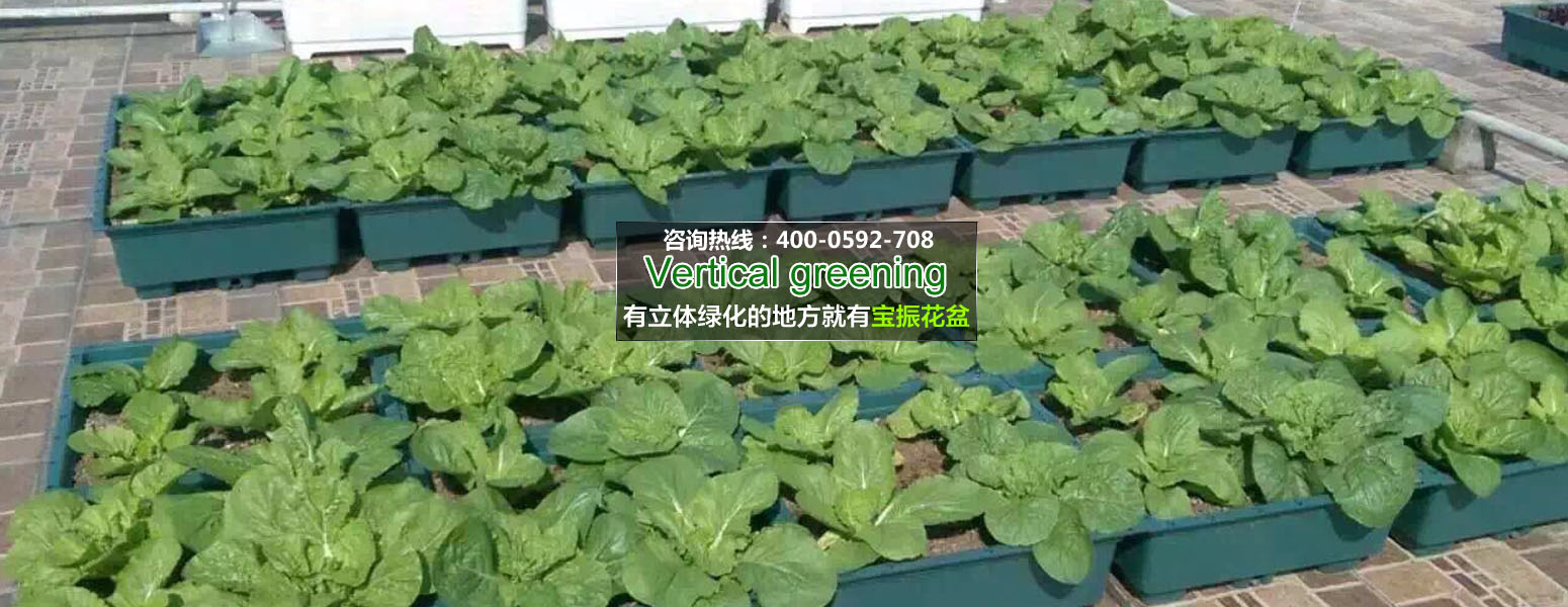 屋頂4.jpg 屋頂4.jpg