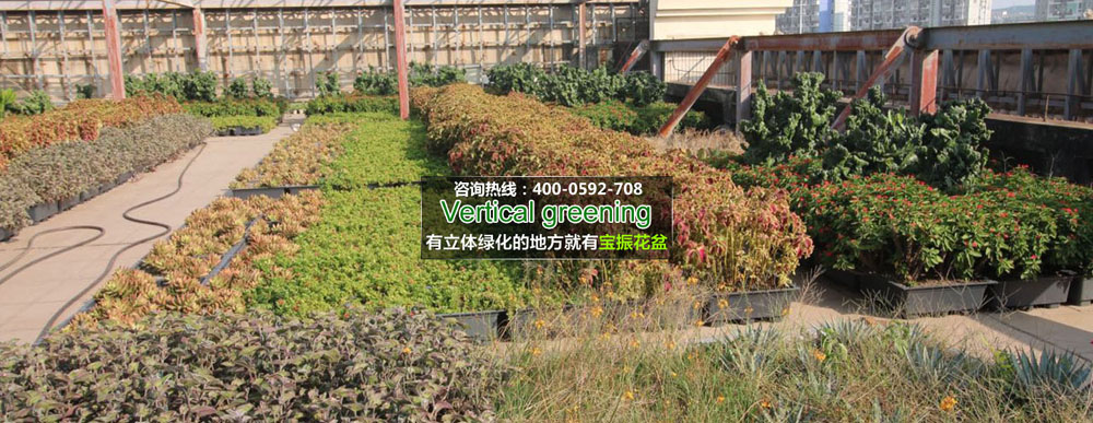 屋頂3-1000.jpg 屋頂3-1000.jpg