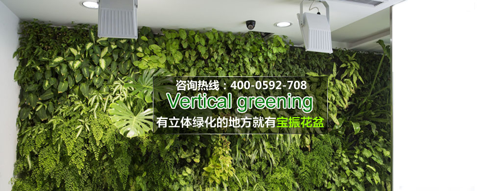 墻面2.jpg 墻面2.jpg