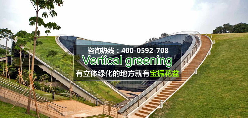 屋面2.jpg 屋面2.jpg