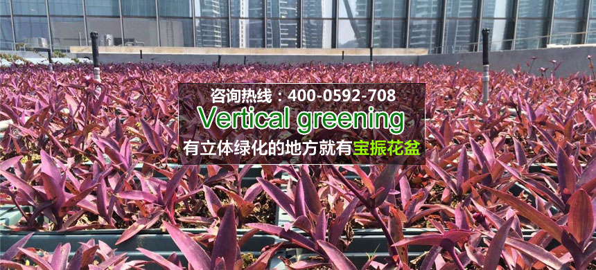 屋頂綠化的養(yǎng)護(hù)管理