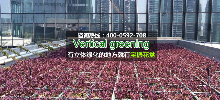 特房2.jpg 特房2.jpg