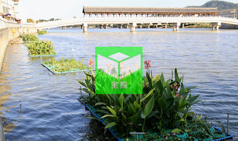 浮島.jpg 浮島.jpg