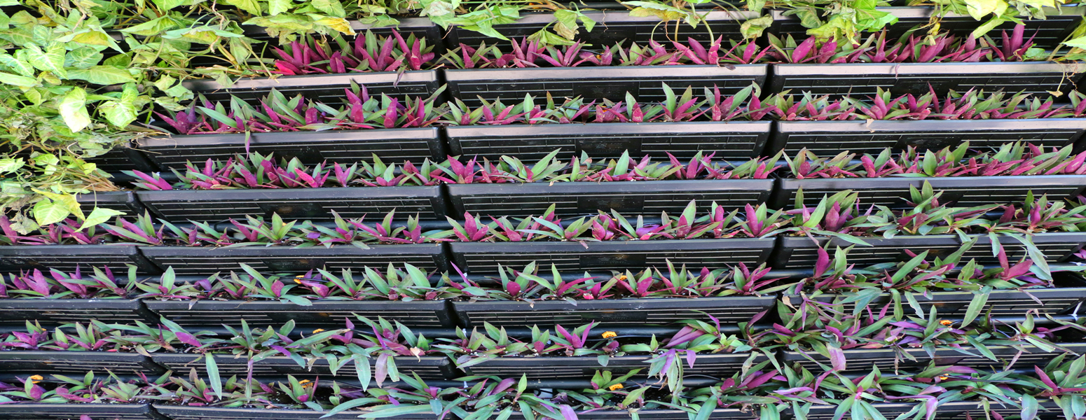 IMG_1133.jpg IMG_1133.jpg