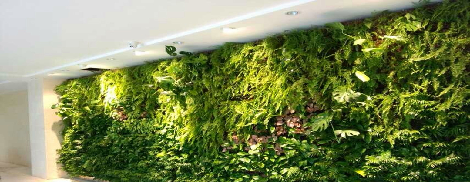 201407291006502455_副本.jpg 201407291006502455_副本.jpg