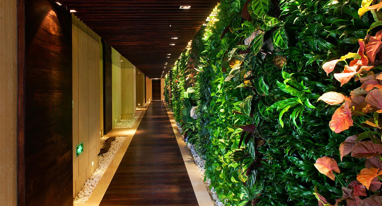 b_2708885_201606251118097165.jpg b_2708885_201606251118097165.jpg