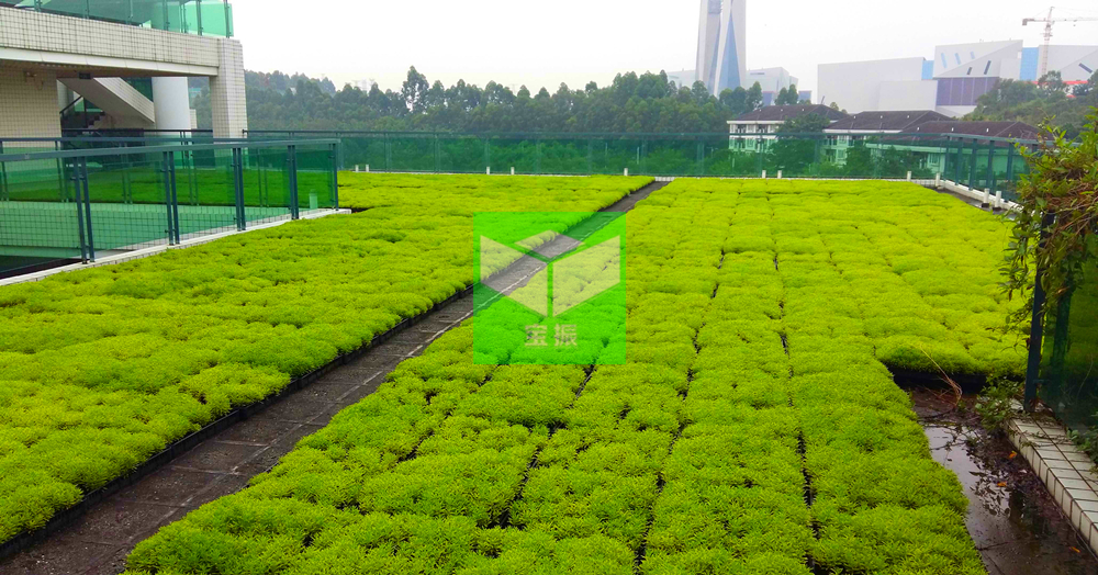 20160420031029802.jpg 20160420031029802.jpg