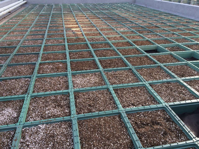 IMG_4905_副本.jpg IMG_4905_副本.jpg