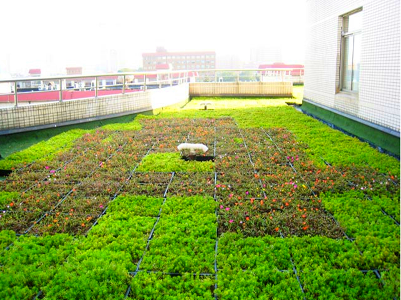 201605051143177363.png 201605051143177363.png