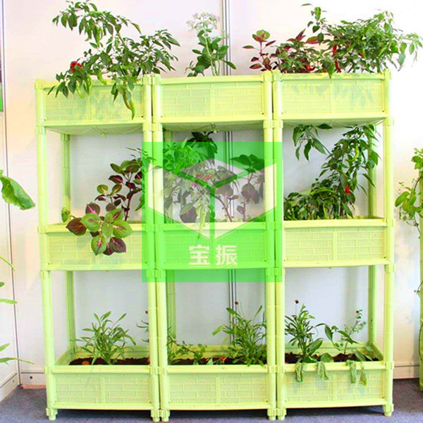 timg (2).jpg timg (2).jpg