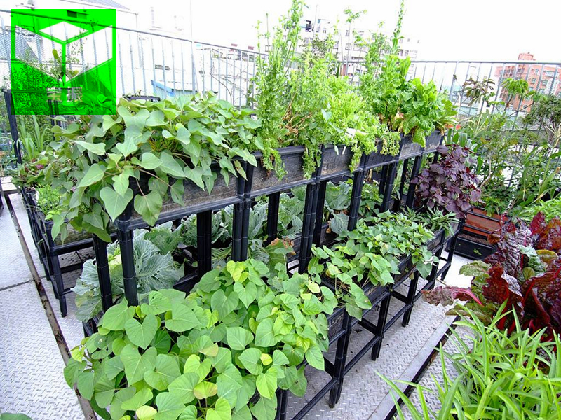 組合花箱01.jpg 組合花箱01.jpg