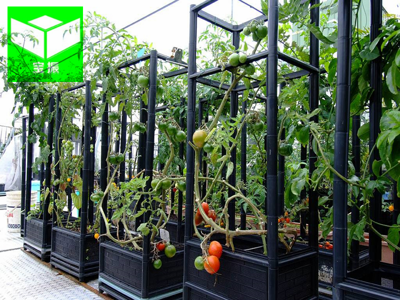 組合花箱02.jpg 組合花箱02.jpg