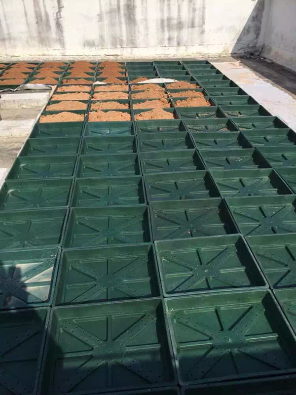 IMG_4953_副本.jpg IMG_4953_副本.jpg